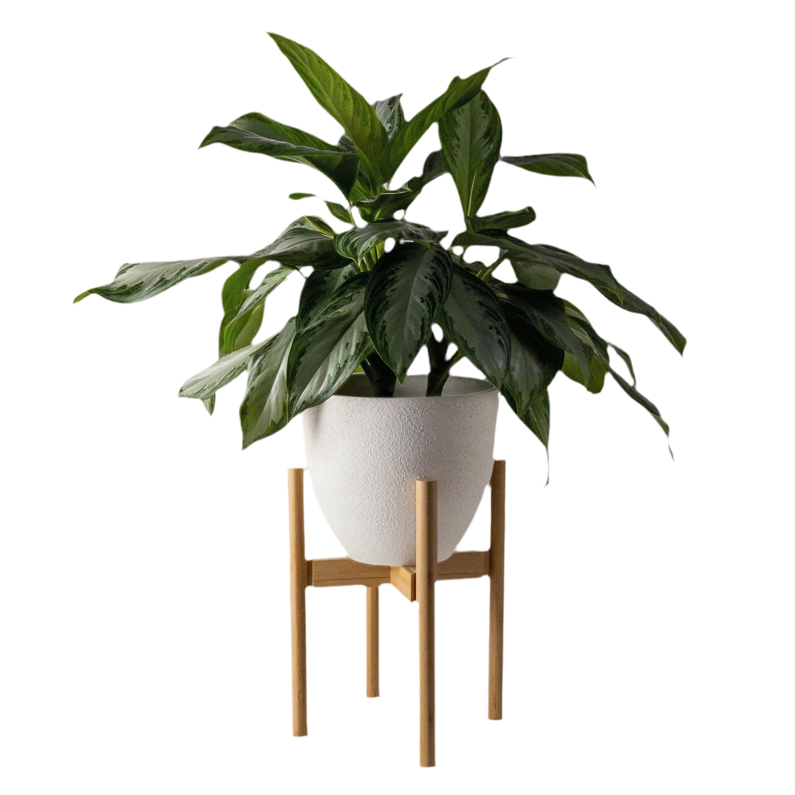 Bamboo Plant Stand