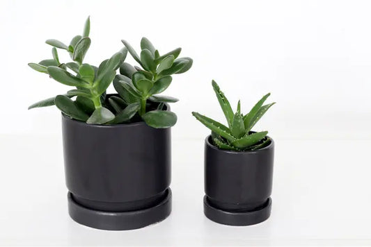 Round Planter Matte Black 