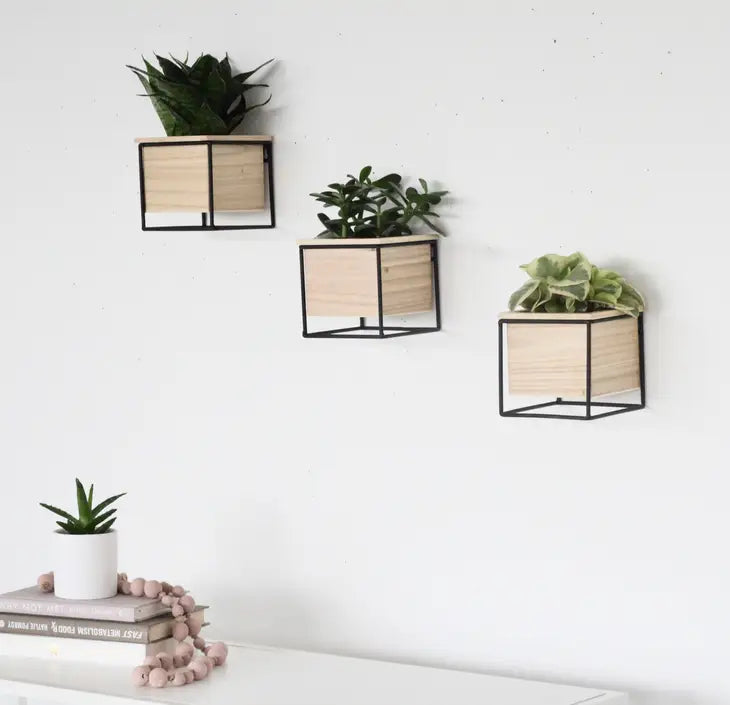 Single Planter Pot with  Wood with Black Metal 