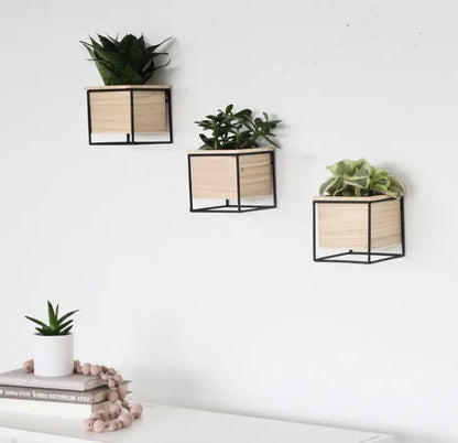 Single Planter Pot with  Wood with Black Metal 