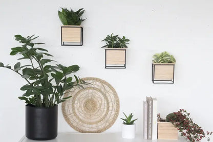 Wall Planter Pots 